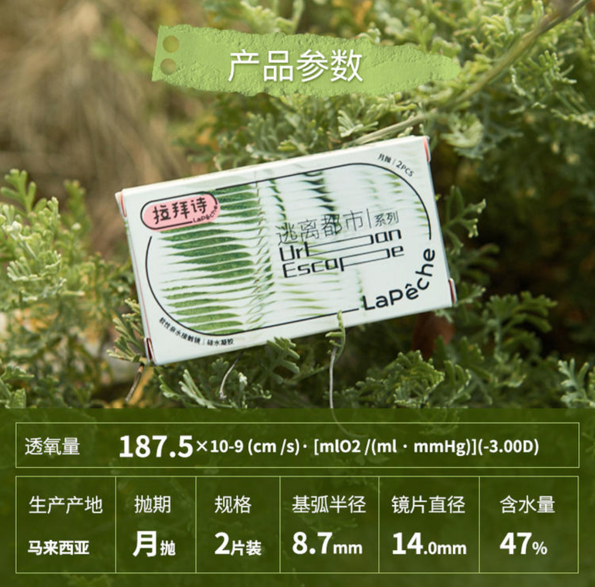 LaPeche Silicone Hydrogel Clear | 1 Month (Preorder)