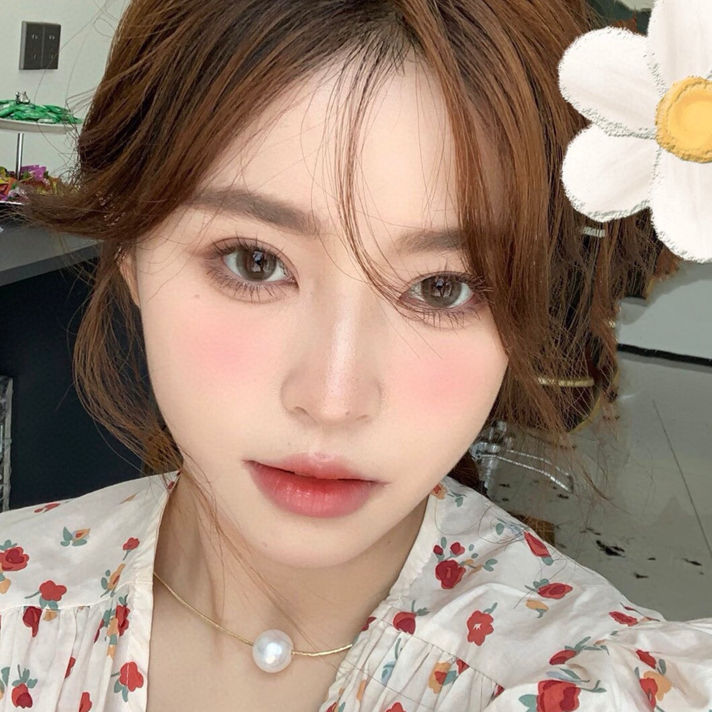 Coconut Brown 14.2MM | Yearly (Preorder)