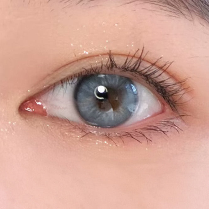 Taylor Blue 14.2MM | Yearly (RS)