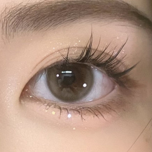Coconut Brown 14.2MM | Yearly (RS)