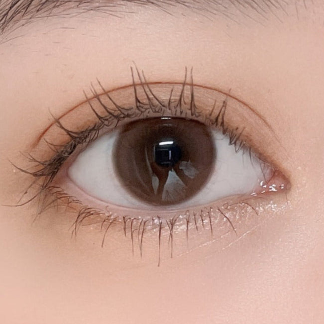 Mocha Brown 14.2MM | Yearly (RS)