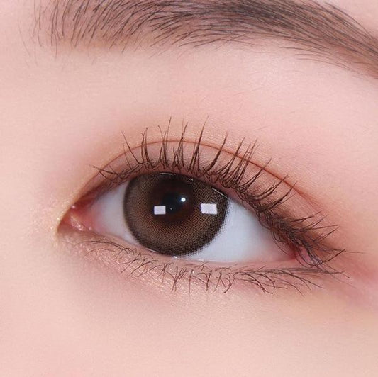 Mood Night Brown | 1-Month (Preorder)
