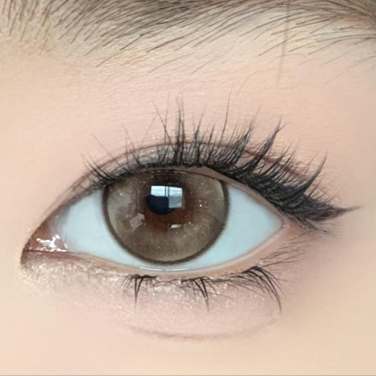 Shine Brown | Daily (Preorder)